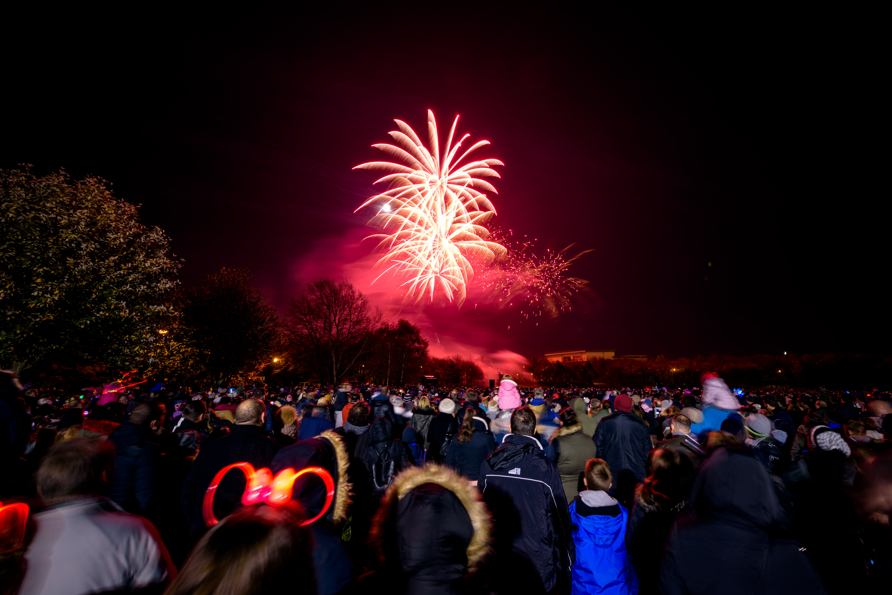 photo of a red firework explosion with a crowd watching from the ground and a tree on the left of the image